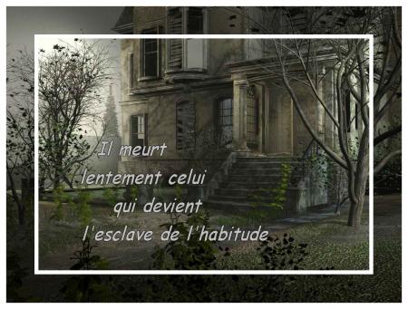 IL MEURT LENTEMENT CELUI QUI NE LIT PAS CE TEXTE!