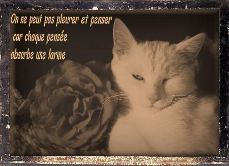 JE NE VEUX PAS SAVOIR